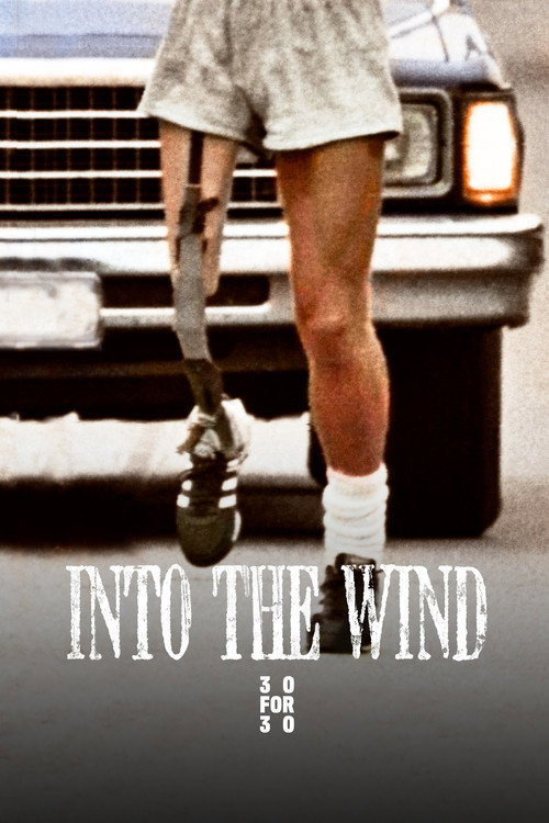 Into The Wind (2010)