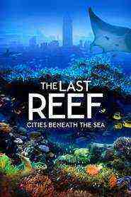 The Last Reef 3d (2012)