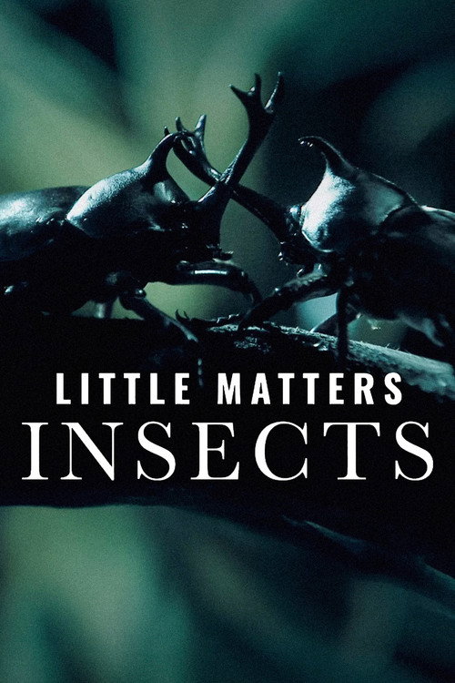 Little Matters: Insects (2014)