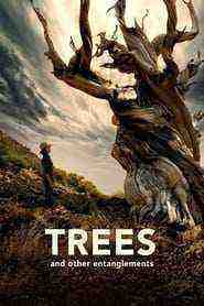 Trees And Other Entanglements (2023)