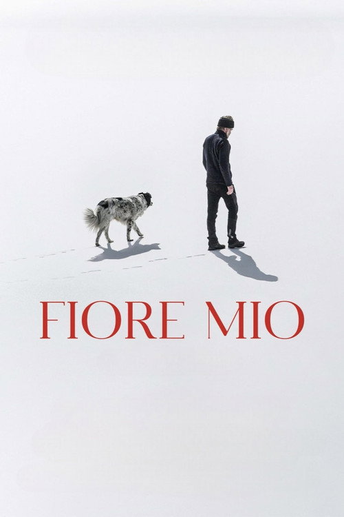 Fiore Mio (2024)