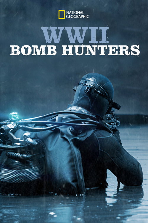 Wwii Bomb Hunters (2018)