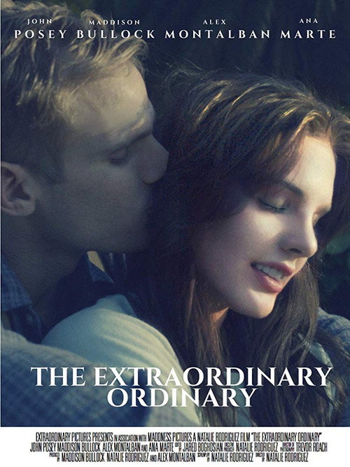 The Extraordinary Ordinary (2019)