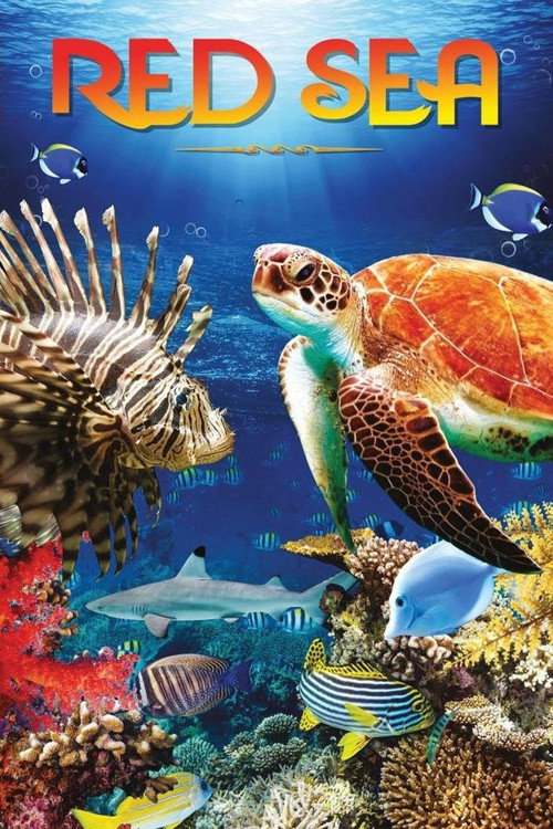 Red Sea 4k (2016)