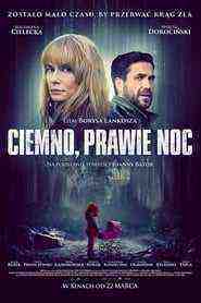 Almost Night (2019)