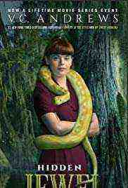 V.c. Andrews' Hidden Jewel (2021)