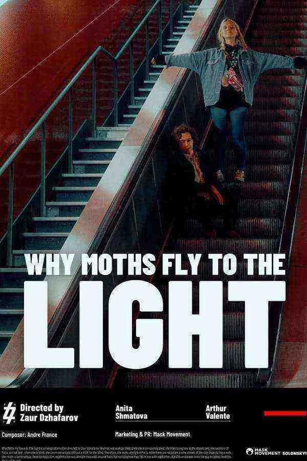 Why Moths Fly To The Light? (2021)